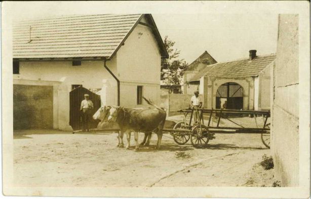 Dům Škodových 