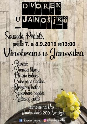 VINOBRANÍ U JANOŠÍKŮ 1